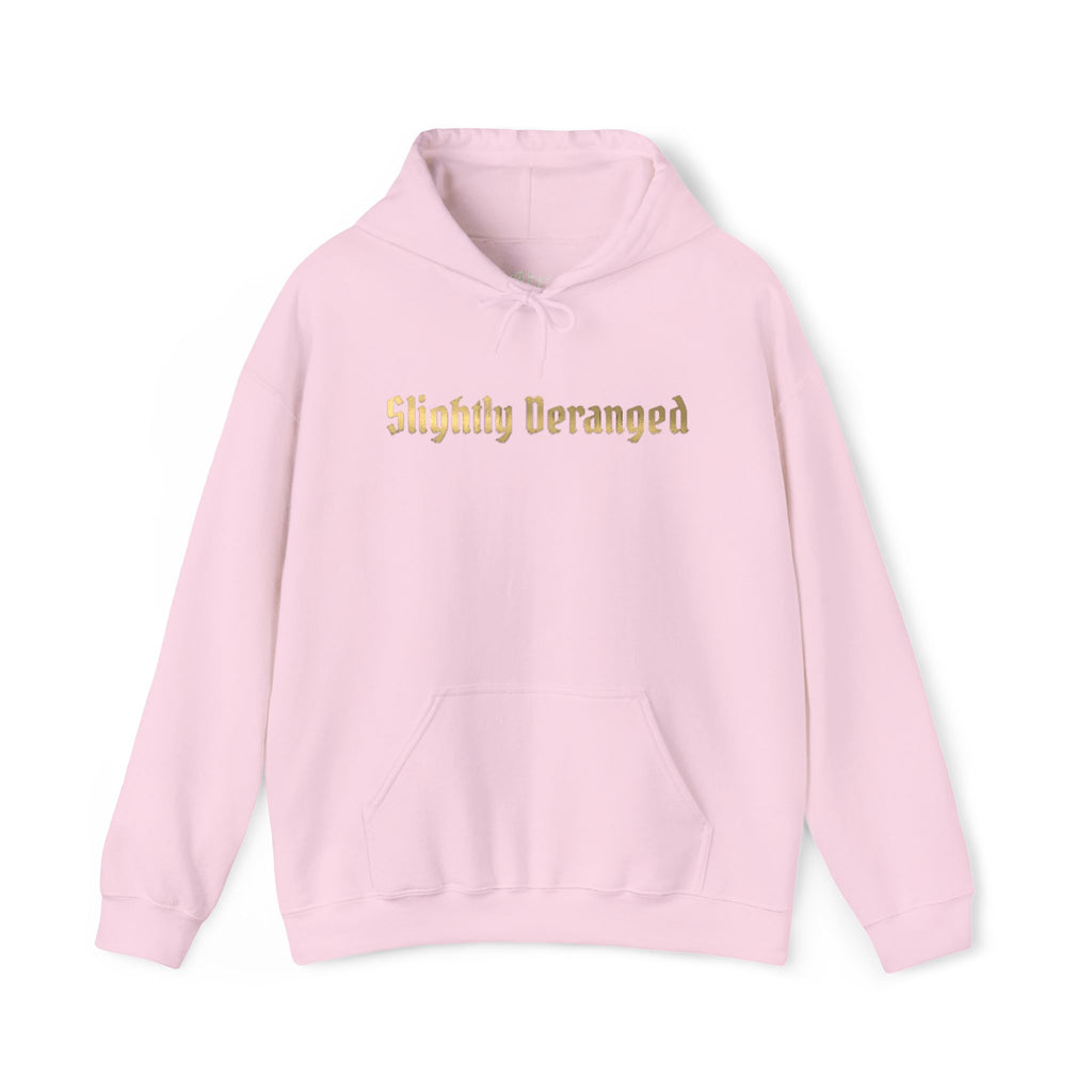 Slightly Deranged Hoodie — Graphic Hooded Sweatshirt