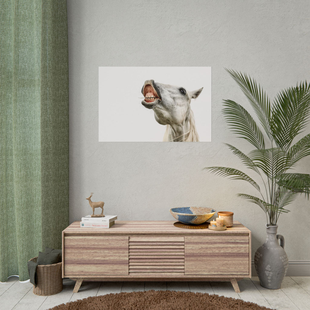 Horse Laugh Poster — Funny White Horse Rolled Art Print for Home & Stable Decor