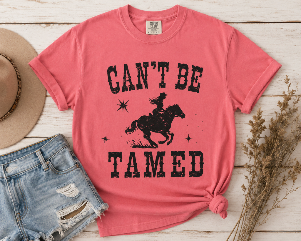 Can’t Be Tamed Western T-Shirt — Cowboy Horse Graphic Tee