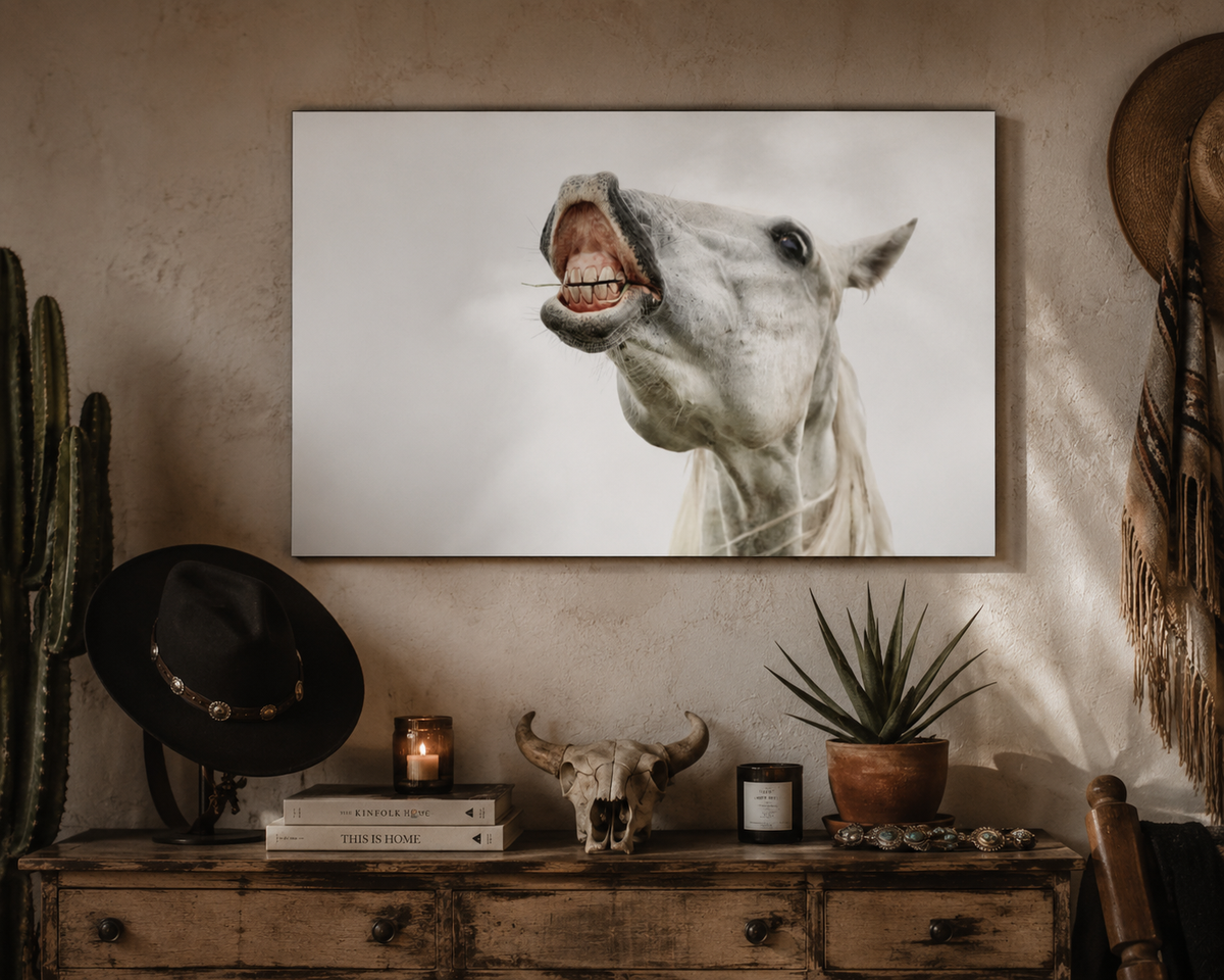 Horse Laugh Poster — Funny White Horse Rolled Art Print for Home & Stable Decor