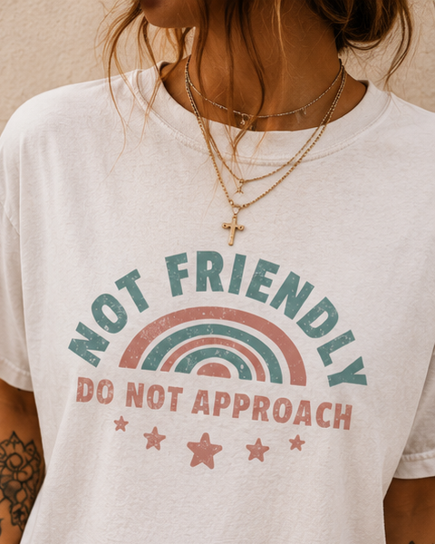 Not Friendly "Do Not Approach" T-Shirt — Retro Rainbow Graphic Tee