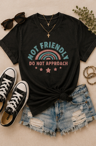 Not Friendly "Do Not Approach" T-Shirt — Retro Rainbow Graphic Tee