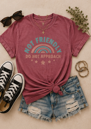 Not Friendly "Do Not Approach" T-Shirt — Retro Rainbow Graphic Tee